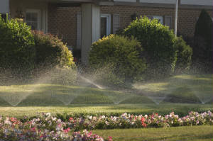 generalirrigation.jpg