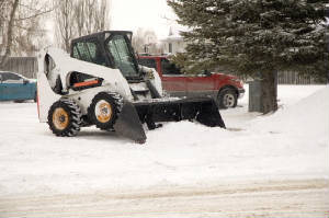 snowbobcat.jpg