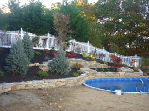 landscapedesign/DSC04735.JPG
