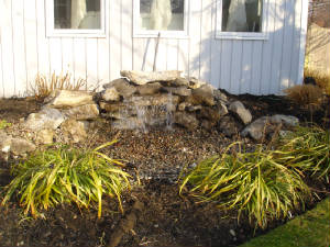 landscapedesign/bitner.JPG