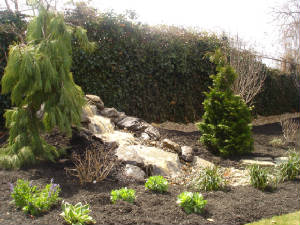 landscapedesign/nealwater.JPG